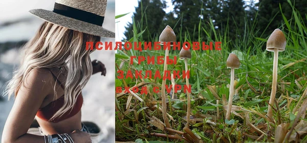 хмурый Новокубанск