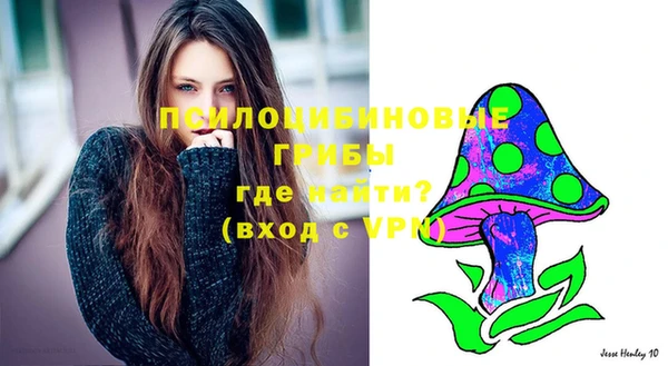 молекула духа Алзамай