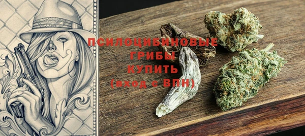 молекула духа Алзамай