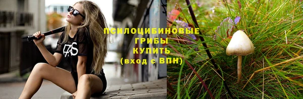 2c-b Новодвинск